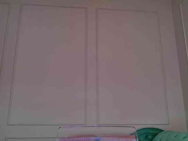 Evaathorn webcam