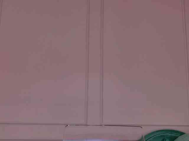 Evaathorn webcam
