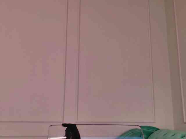 Evaathorn webcam