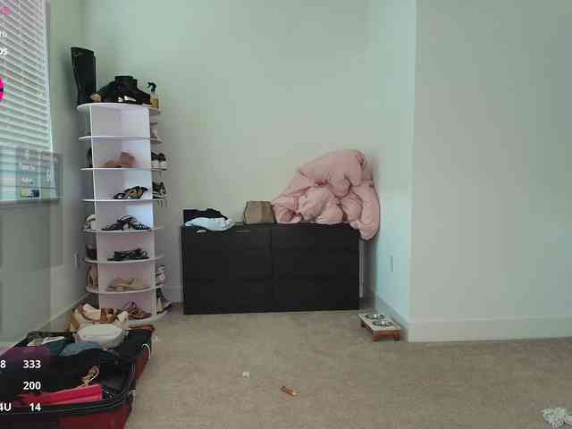 LyraCovee webcam
