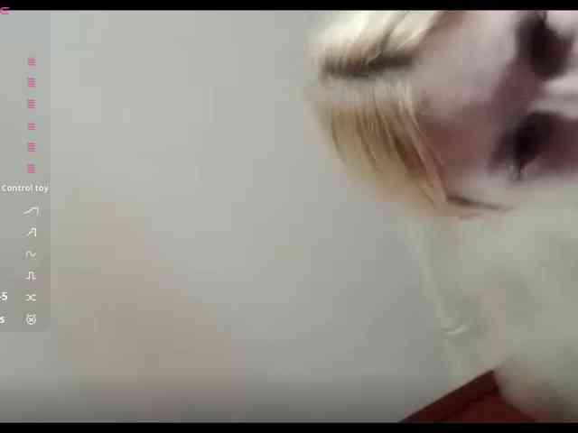 JongSiebel webcam