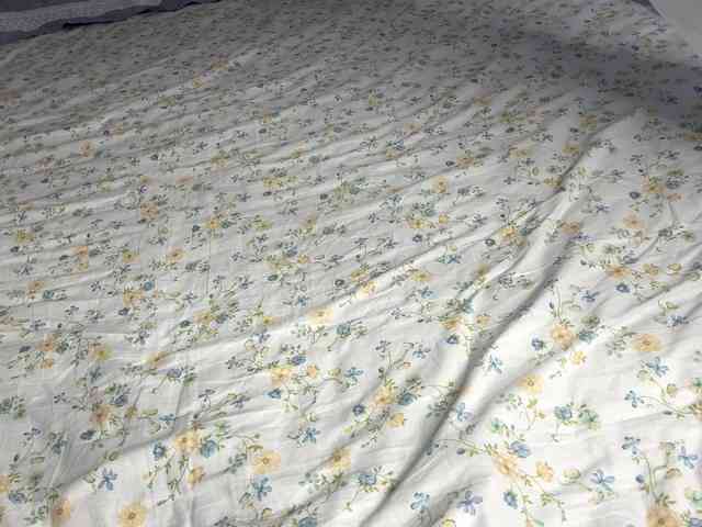 NoreenSemetara webcam
