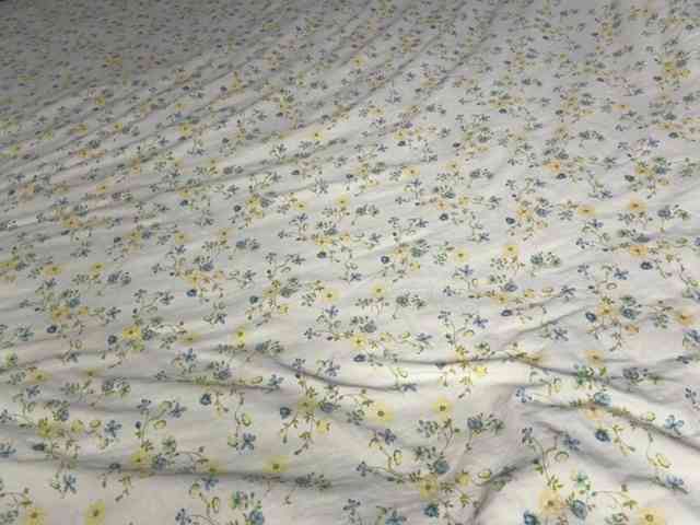 NoreenSemetara webcam