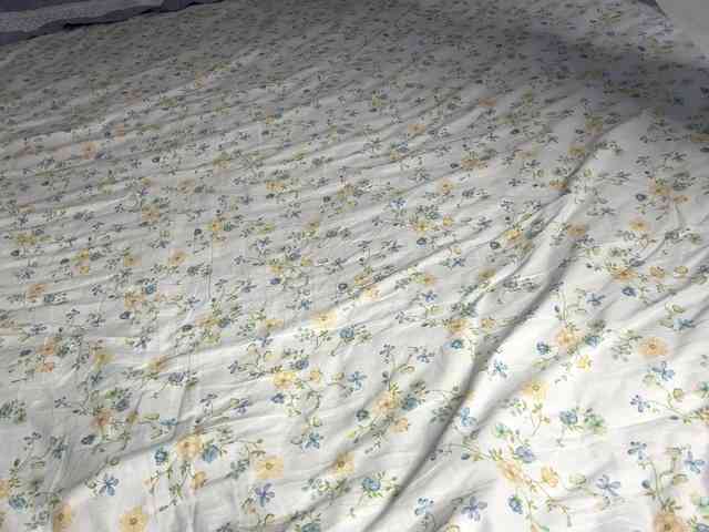 NoreenSemetara webcam
