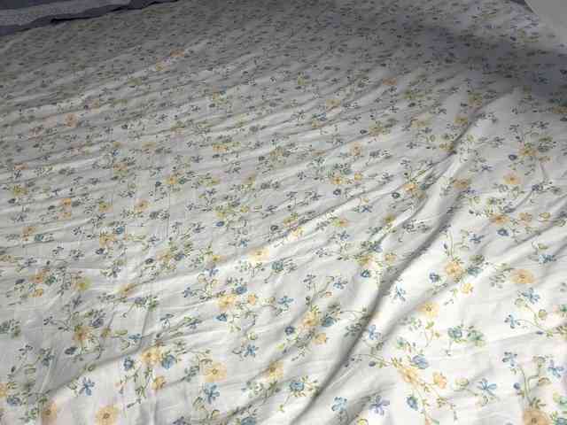 NoreenSemetara webcam