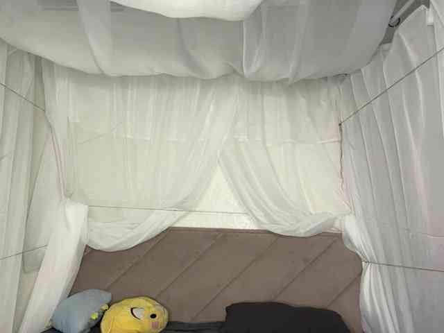 NoreenSemetara webcam