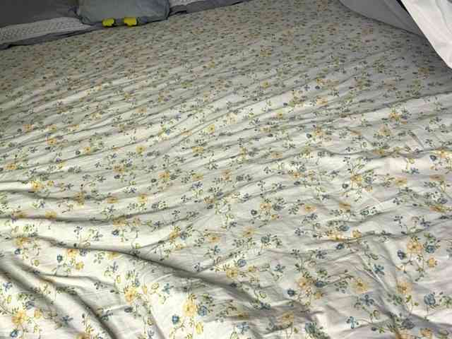 NoreenSemetara webcam