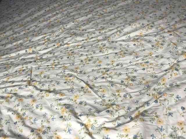 NoreenSemetara webcam