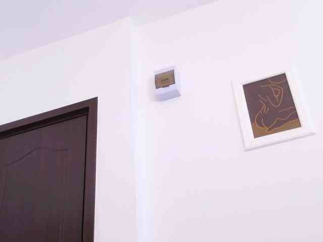 TemptingLuna webcam