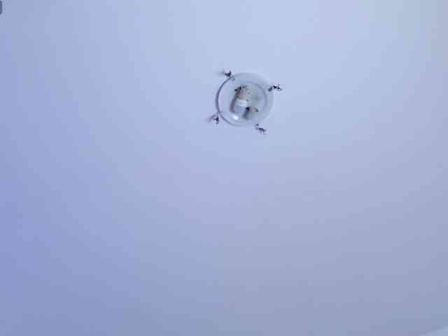 TemptingLuna webcam