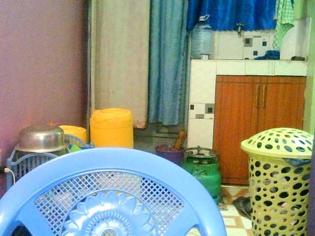 Sallyanne8