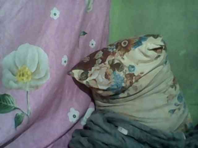 Kitiah webcam