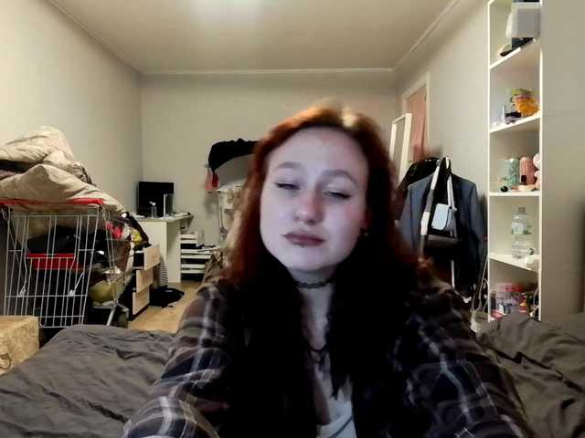 loiselovetto