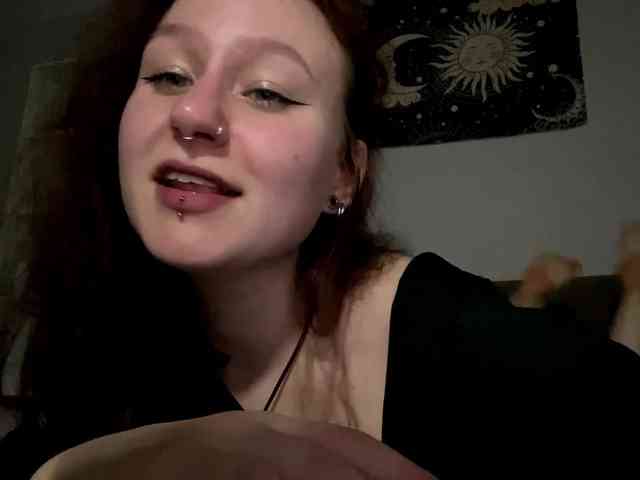 Модель: loiselovetto