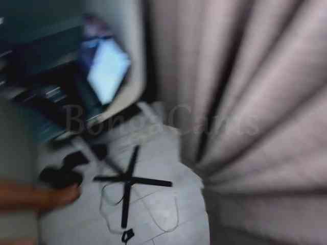 Soskinerealki webcam
