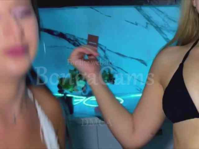 Soskinerealki webcam