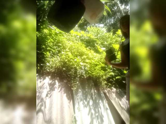 Preview of melynaa