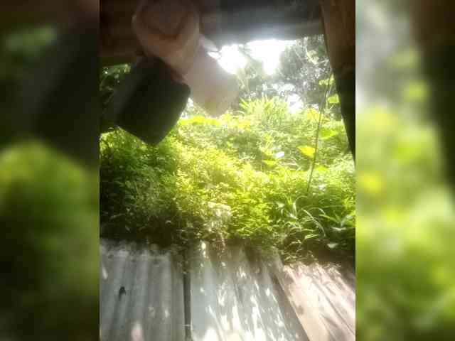 melynaa webcam
