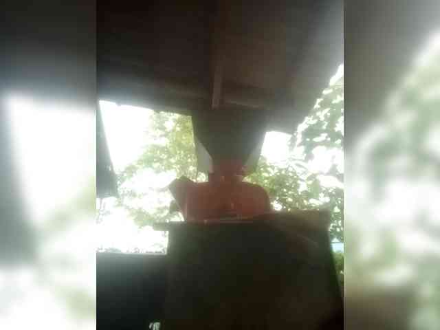 melynaa webcam