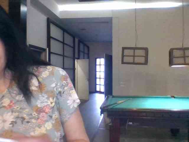 Ally46x webcam