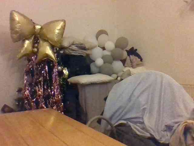 Ally46x webcam