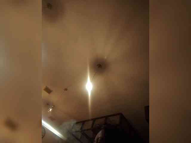 Ally46x webcam