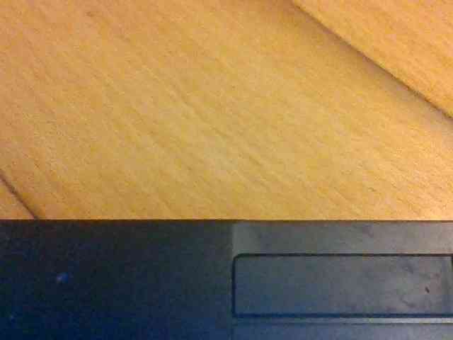 Ally46x webcam
