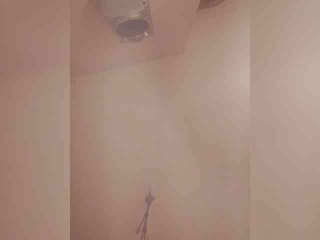 Ally46x webcam