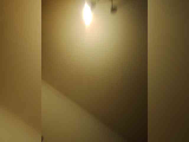 Ally46x webcam