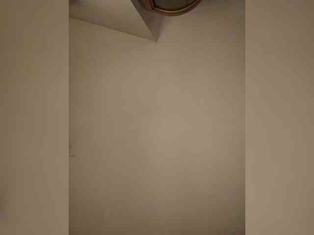Ally46x webcam