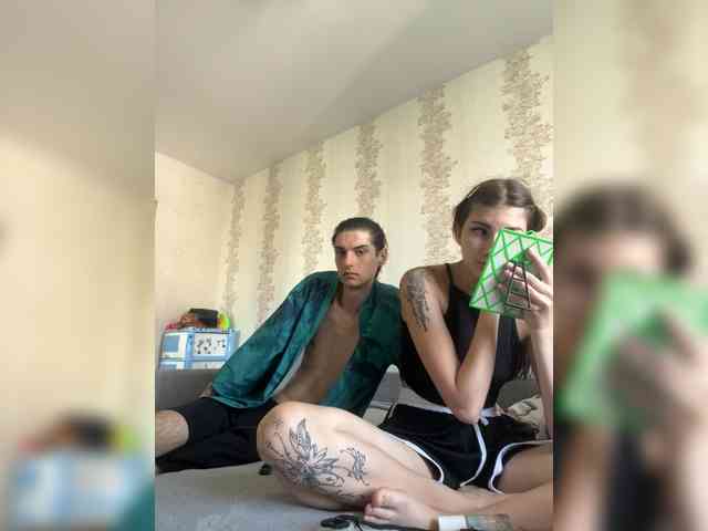 Skynlayer webcam