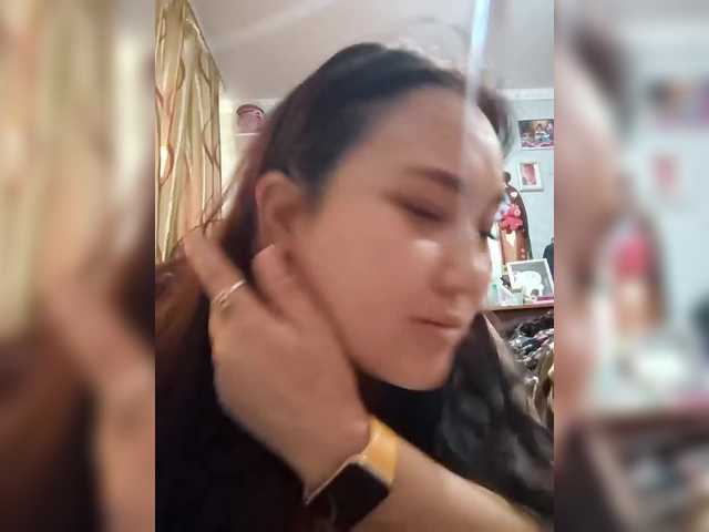 Metisochkaa