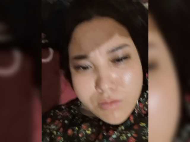 Metisochkaa