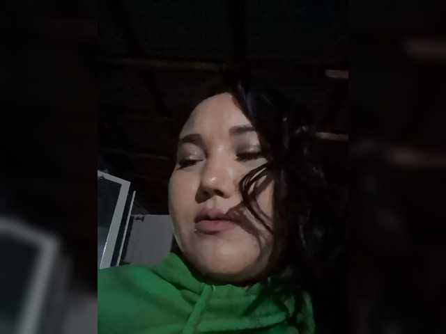 Metisochkaa