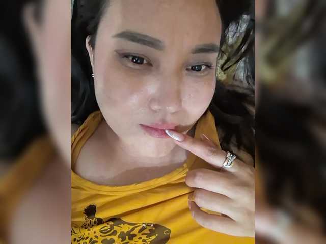Metisochkaa