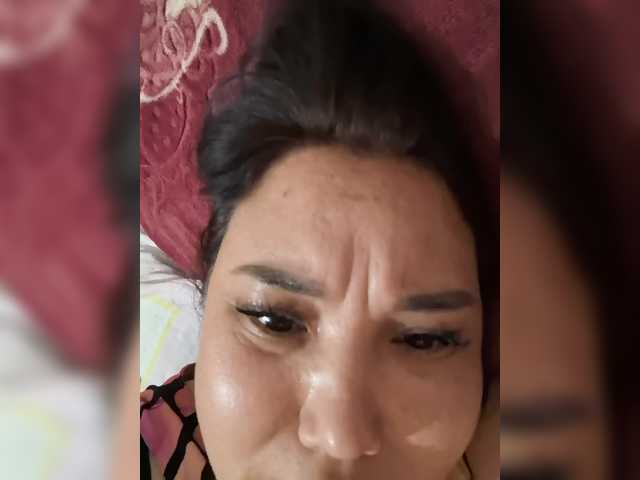 Metisochkaa