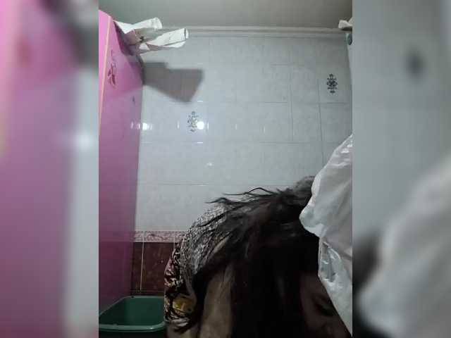 Metisochkaa