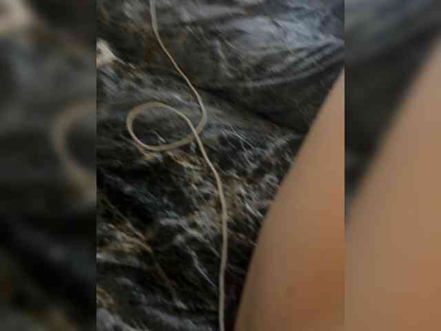 ArnesVanesa webcam