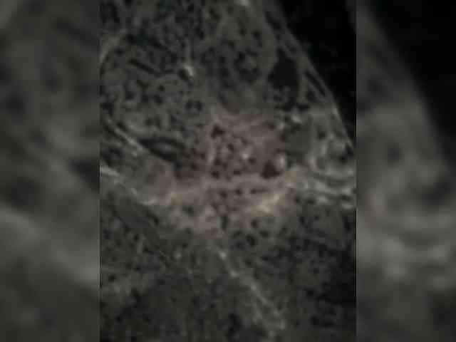 ArnesVanesa webcam
