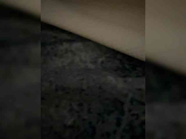 ArnesVanesa webcam