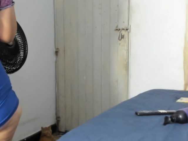 Laravelaa live cam on BongaCams