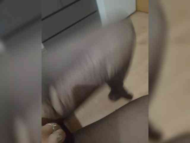 KisssKaaa-Di webcam