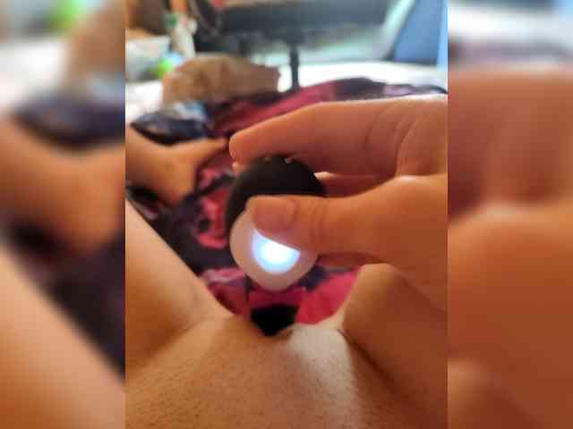 MrPingvigine webcam
