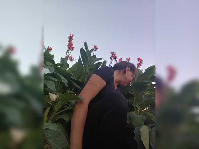_pantera-