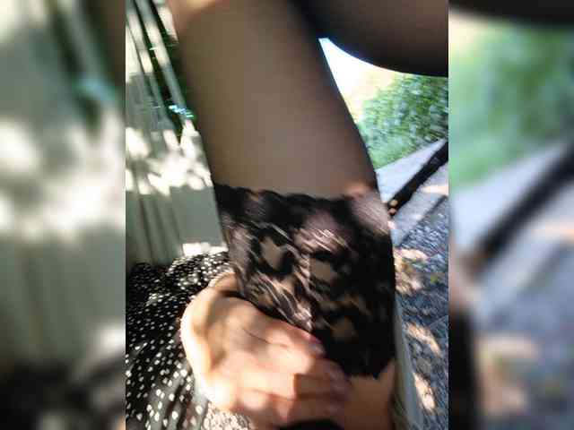 _pantera- webcam