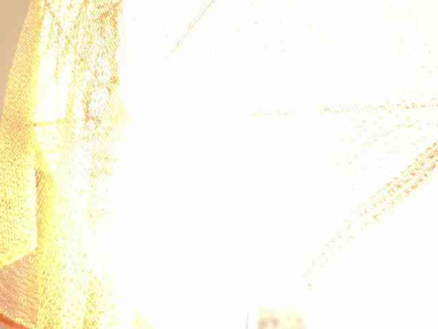 SiennaShinee webcam