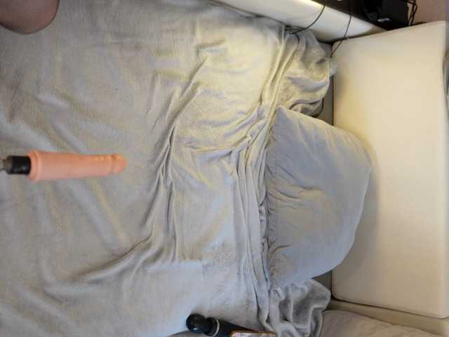 IMNOTSHYBABY live cam on BongaCams