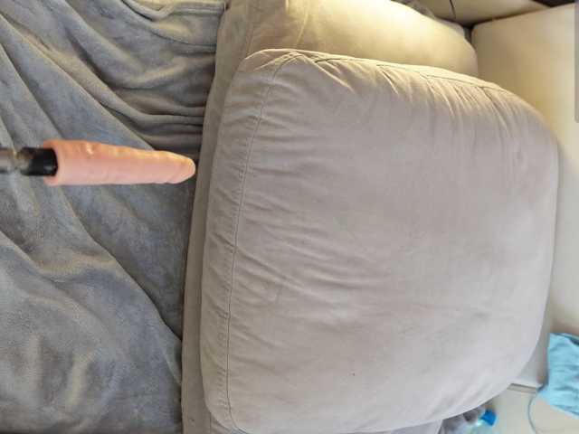 IMNOTSHYBABY, en directo ahora en BongaCams