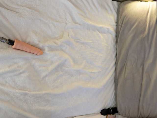 IMNOTSHYBABY, live now on BongaCams