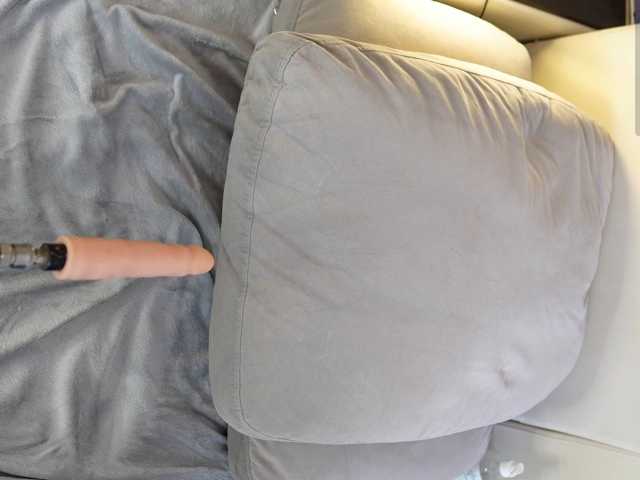 IMNOTSHYBABY live cam on BongaCams
